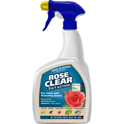 Evergreen Roseclear 3in1 Rtu 800 Ml 2