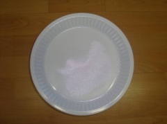 Caroline 9" Plastic Plates Pk50 (2412)   XXXX image