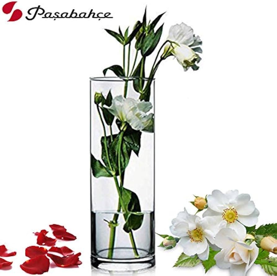 Pasabahce Botanica Vase