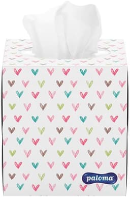 PALOMA COSMETIC TISSUE BOX 60 X 3PLY 1