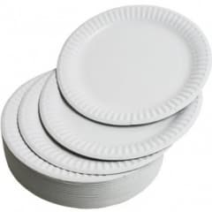 Castleview 30pcs Paper Plates 9"