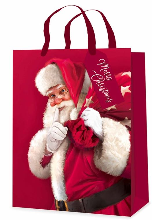 Tallon Gift bag XMAS Trad Santas Ex image