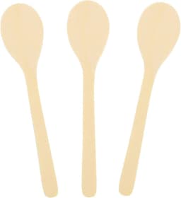 WOODEN SPOON 24PC PACK  1