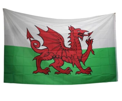 Wales  Flag 5x3ft With Eyelets image