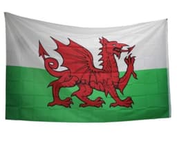 Wales  Flag 5x3ft With Eyelets 1