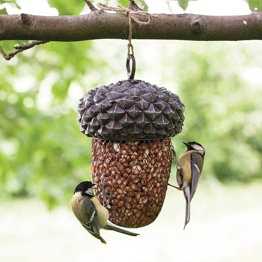 Acorn Bird feeder
