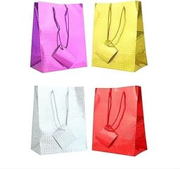 Tallon Holographic Bag MEDIUM 1