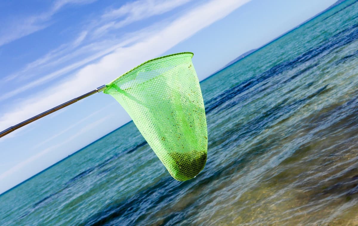 Kandy Toys Jumbo Telescopic Net