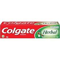 COLGATE TOOTHPASTE 100ml - HERBAL(X12) image