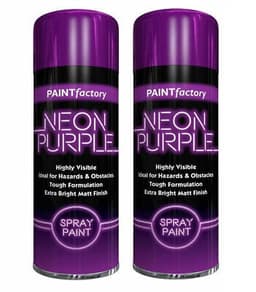 Rapide AX - 2 TONE SPRAY PAINT - BLUE -
PURPLE 1