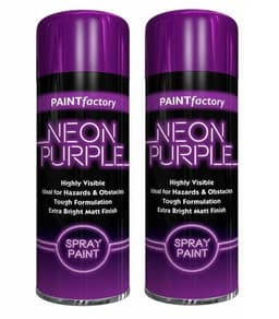 Rapide AX - 2 TONE SPRAY PAINT - GREEN -
PURPLE 1