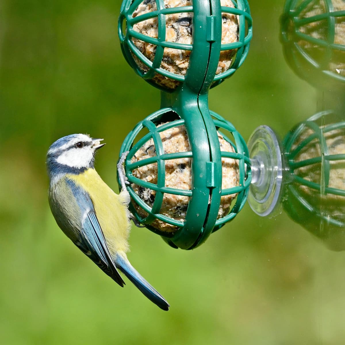 WK  Easy Fat Ball Feeder