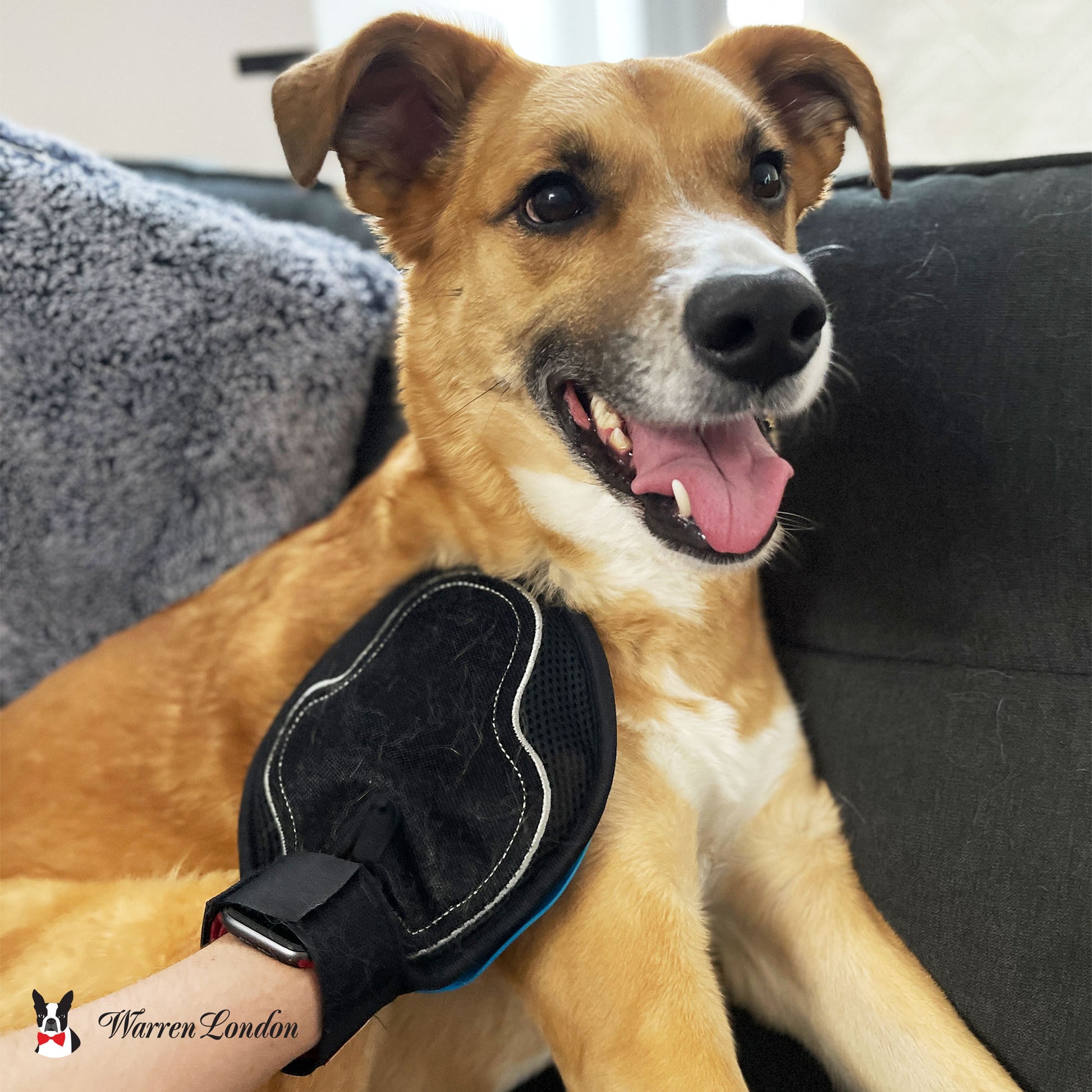 WL Pet Grooming Glove image