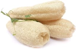 WL LOOFAH 1