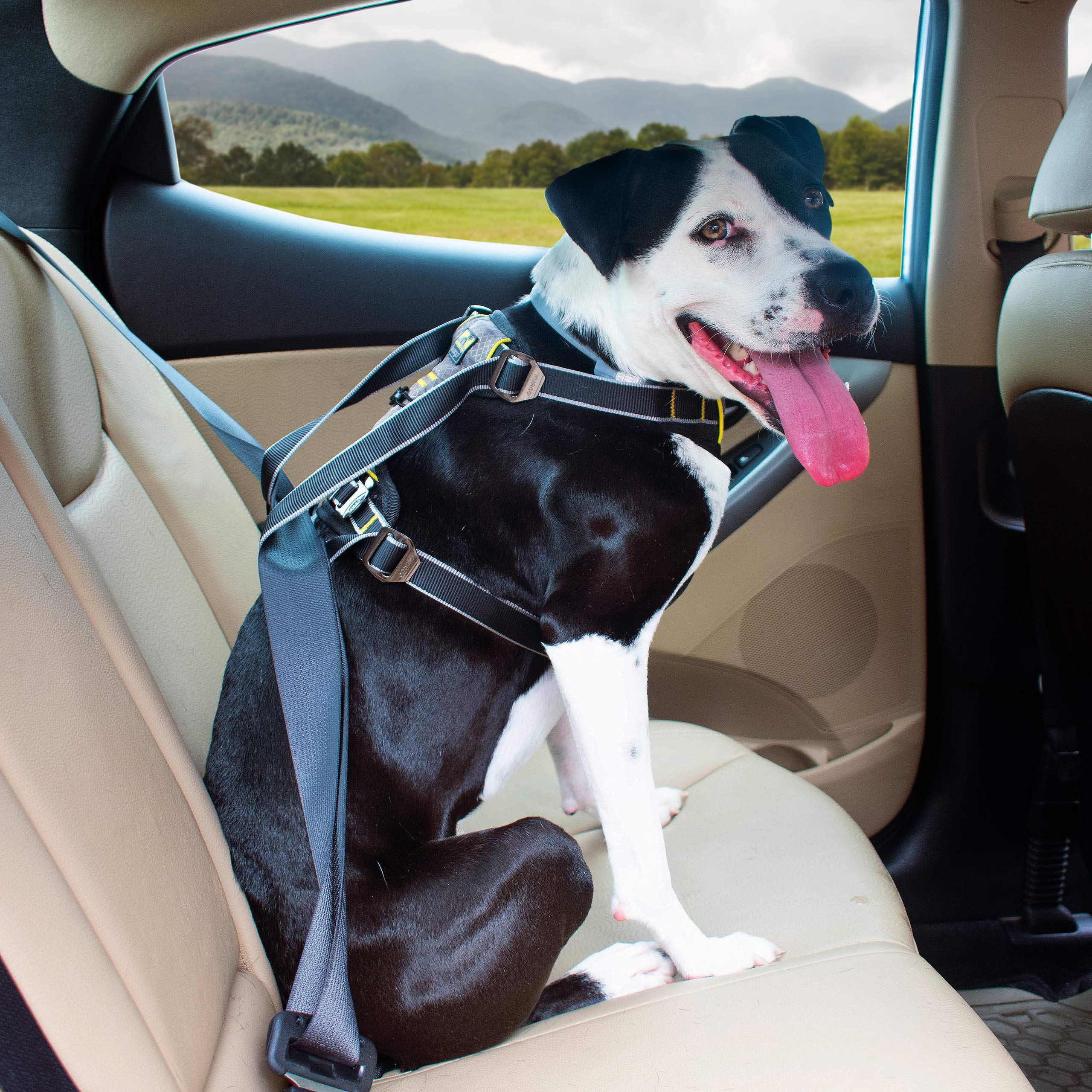 WL Car Safety Harness Small Dog image