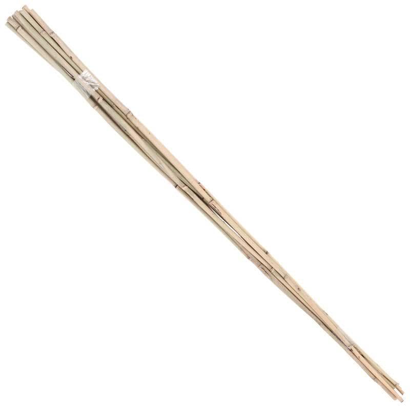 WK Bamboo Canes 10