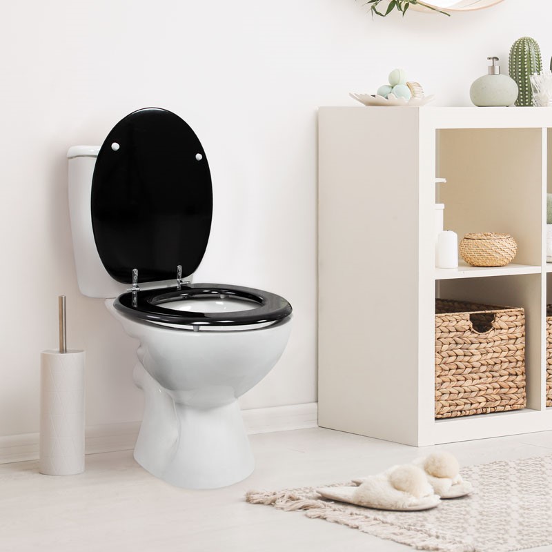 Anika Black Gloss Toilet Seat image