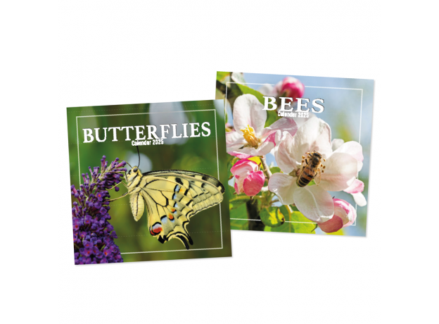 Tallon Calender Square Bees & Butterflies image