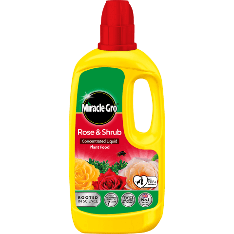 Evergreen Miracle-Gro Rose & Shrub Conc 800ML