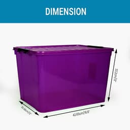 Violet Plastic 100 Lt Family Box 1