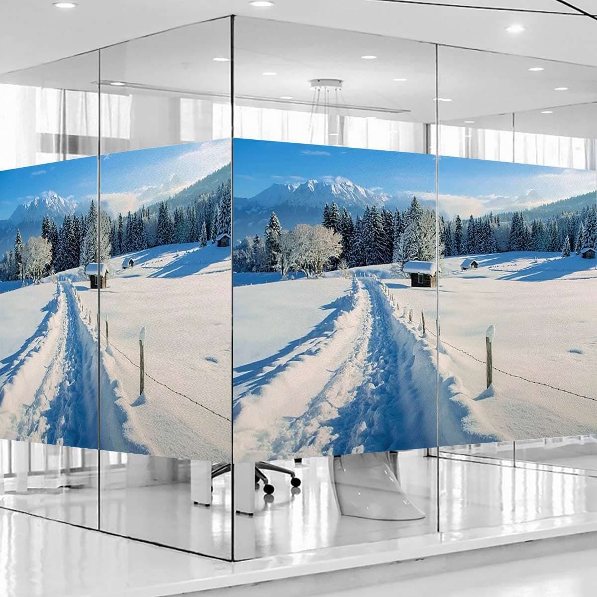 Self Adhesive Window Film Snow