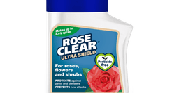 Evergreen Clear Rose Clear Ultra Shield Conc 200ml 2