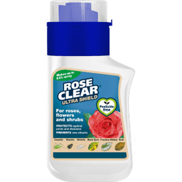 Evergreen Clear Rose Clear Ultra Shield Conc 200ml 1