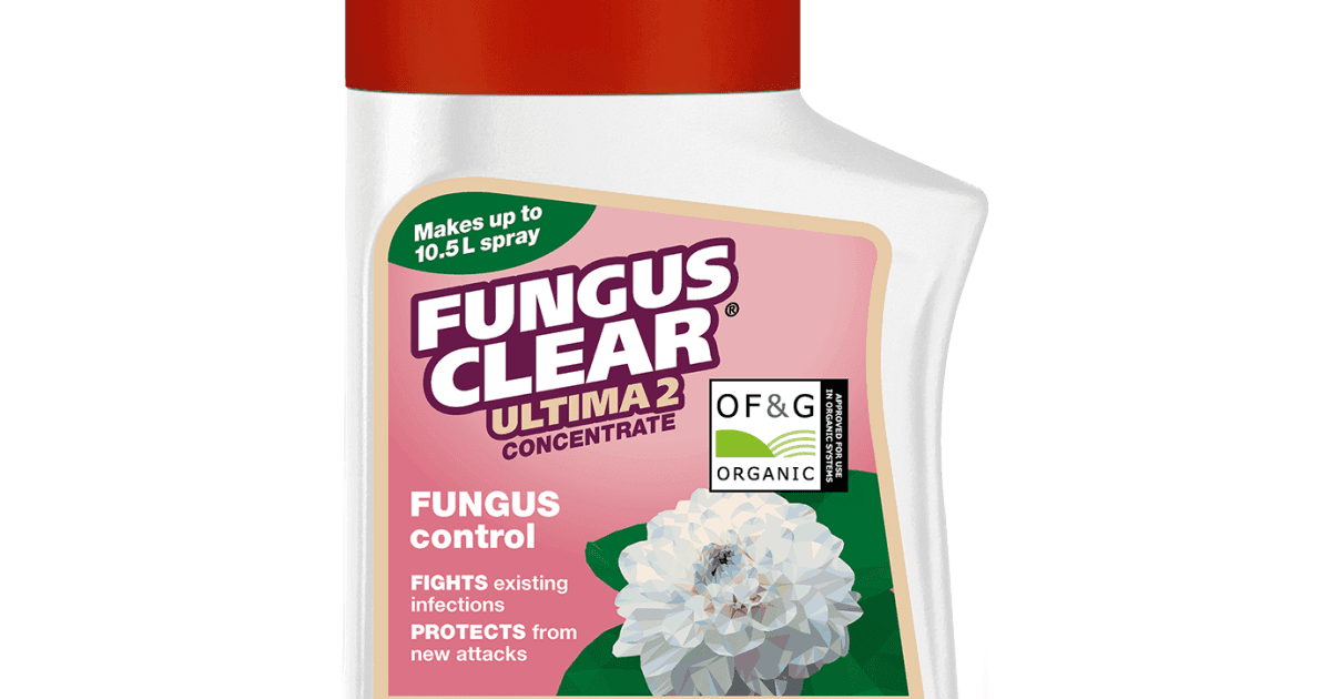 Evergreen Fungus Clear Ultimate 2 Concentrate 210ml