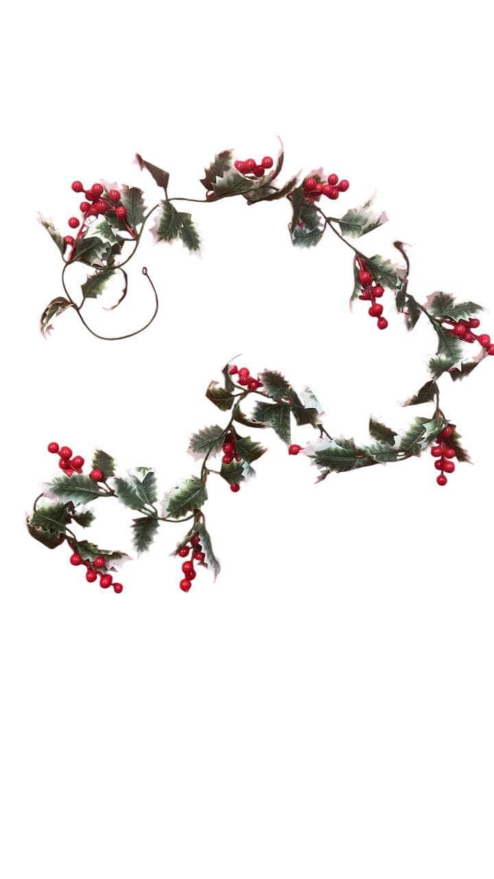 Christmas Triangular White Edged Leaf Vine