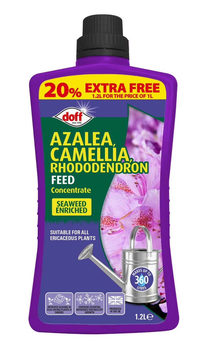 Doff Azalea,Camellia & Rhododendron Feed 1.2ltr
