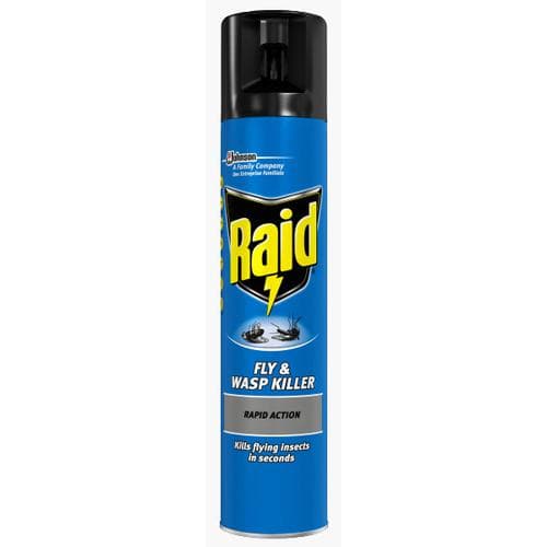 Raid Fly & Wasp Killer 300ml