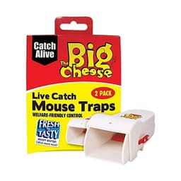 STV Mouse Trap Live Catch RTU Pk2  ( STV155 ) 1