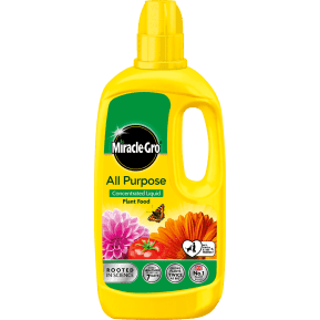 Evergreen Miracle-Gro All Purpose Concentrated Liquid Plant Food 800ml