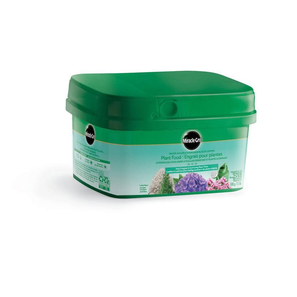 Evergreen Miracle Gro Ericaceous Feed 500g