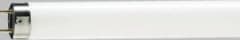 4FT 36W Cool White Tube