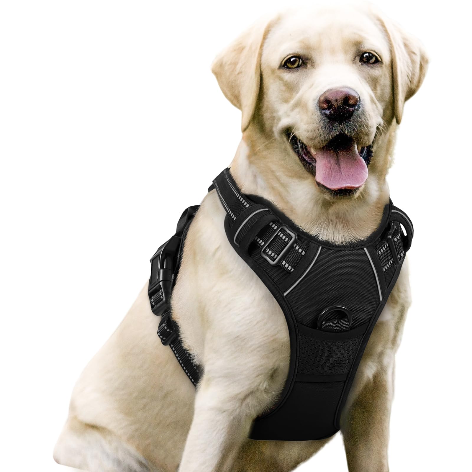 Dog Harness image