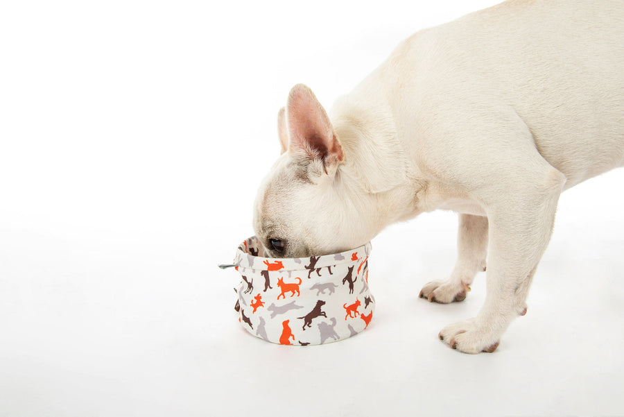 151 Pets Play  Pet Bowl (mc0026a) image