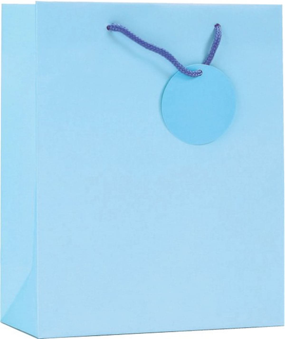 SE Pale Blue Large Gift Bags