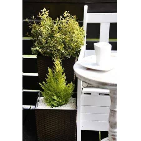 Lamella Flowerpot Rattan Juka 190x 190mm mocha