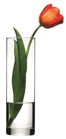 PB BOTANICA CYLINDER VASE 26.5CM