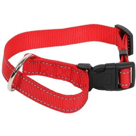 WL Small Reflective Dog Collar