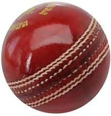 Genuine Leather Ball 156 Gms 1 Star