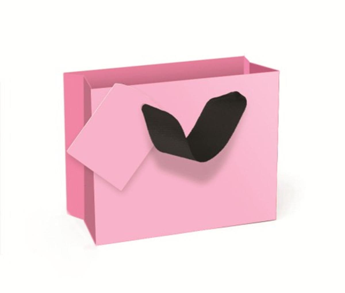 SE Extra Small Bag Pink