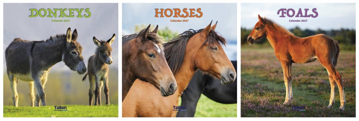 Tallon Calendar Sq Donkeys, Horses & Foals