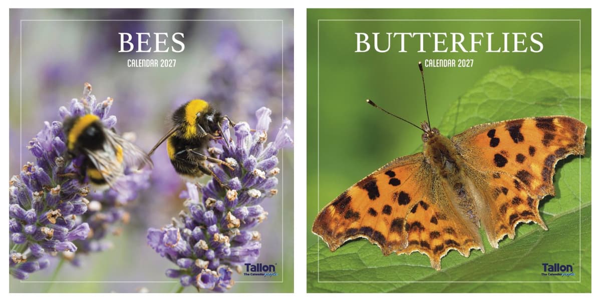 Tallon Calendar Sq Bees and Butterflies