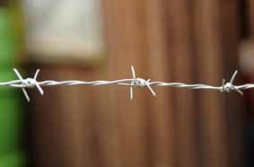 AG 25m X 1.7mm Garden Barbed Wire