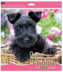 Tallon Square Calendar: Kittens & Puppies