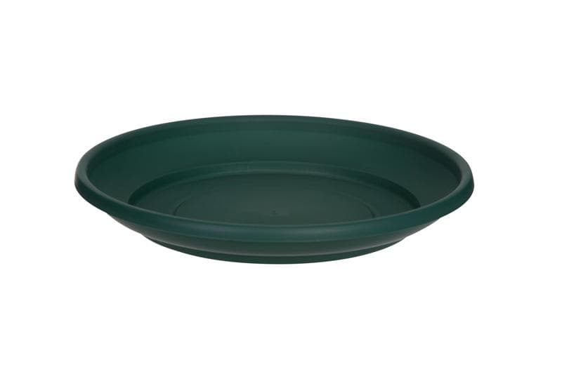 Whitefurze 43cm Saucer F/green For 58 Pl