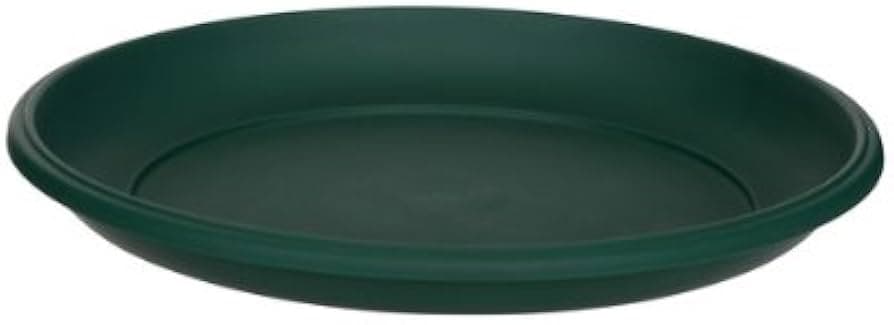 Whitefurze 48cm Milano Saucer F Green