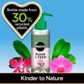 Evergreen Miracle Gro Pump & Feed Orchid 200ml (119898)